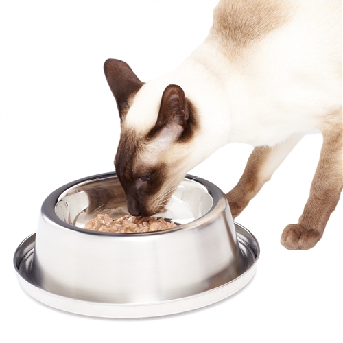 Pet Cat Animal Food and Water Non Slip Large Home Feeding Plastic Bowl Dish 